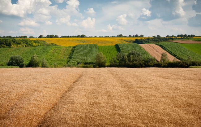 Повышение налогов не легализует рынок земли, а загонит его еще дальше в "тень", - эксперт