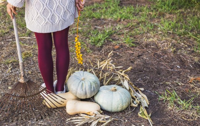 Ваш урожай залежить від цього: перекопувати грядки восени чи ні?