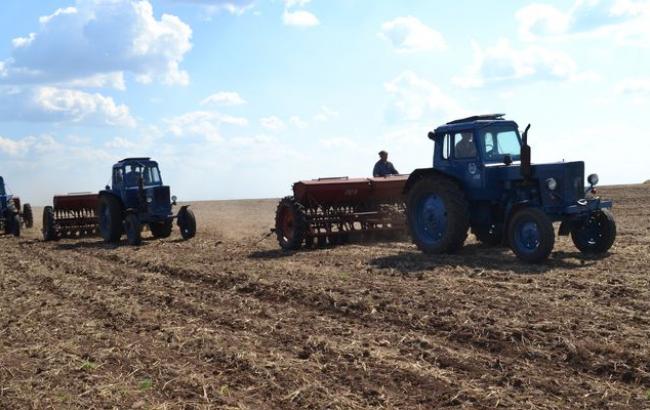 Ранние зерновые посеяны почти на 70%, - МинАП