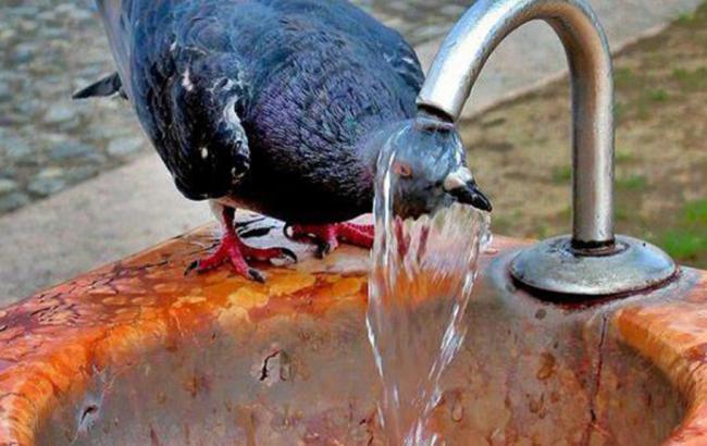 В Украине 1-2 сентября ожидается аномальная жара, - Гидрометцентр