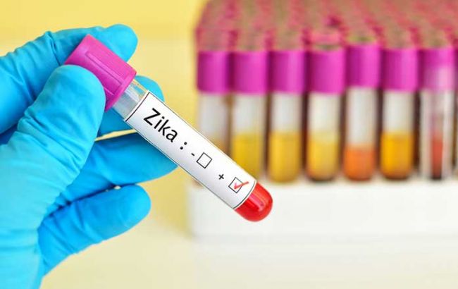 Заразитися вірусом Зіку ризикують більше 2 млрд людей