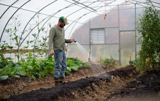Кадрова криза. У Фінляндії заявляють про брак робітників через війну в Україні