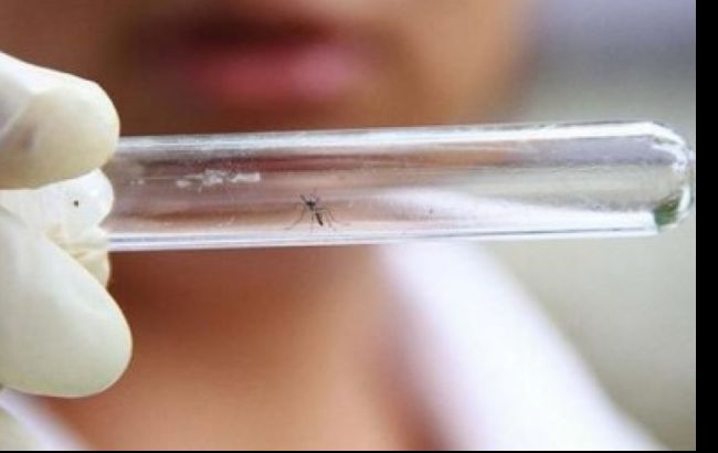 Американские ученые открыли новый способ распространения вируса Зика