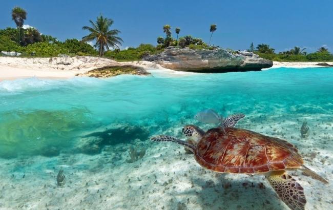 Чим привабливі тури до Танзанії для вітчизняних туристів